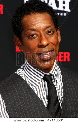LOS ANGELES - JUN 22:  Orlando Jones  at the World Premiere of 