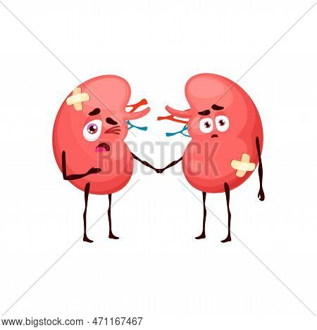 Kidneys Sick Body Organ Character. Cartoon Reins Vector Anatomical Personages, Internal Body Organs 