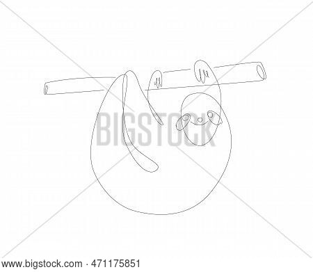 Sloth Art Line Illustration. Unusual Animals Single Line. Sloth Bear Linear Art
