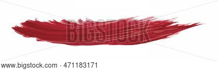 Ruddy Brush Isolated On White Background, Red Brush Scarlet Sage.