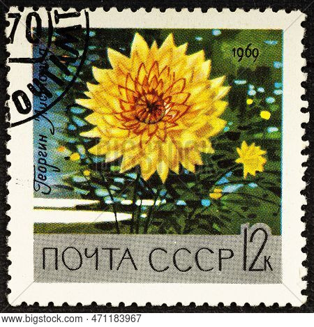 Ussr - Circa 1969: A Stamp Printed In Ussr Russia Shows Yellow Dahlia With The Inscription Leaves Fa