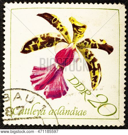 Germany, Ddr - Circa 1968: A Postage Stamp From Germany, Gdr Showing The Flower Of An Orchid. Text: 