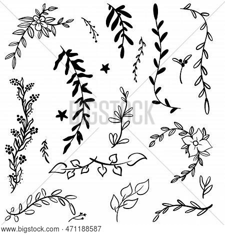 Set Of Hand Drawn Silhouette Tree Branches With Laurel, Oak And Olive Foliate. Vector Illustration
