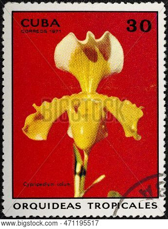 Cuba - Circa 1971: A Stamp Printed In Cuba Shows Cypripedium Solum, Orchids Serie, Circa 1971