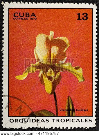Cuba - Circa 1972: A Stamp Printed In Shows Cyprepedium Bucolique, Tropical Orchids Serie, Circa 197