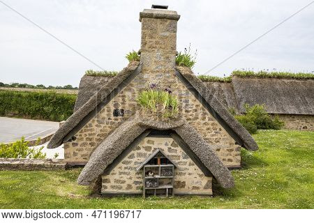 Iris On A Thachted Roof Of A Typical House Of Normandy, France