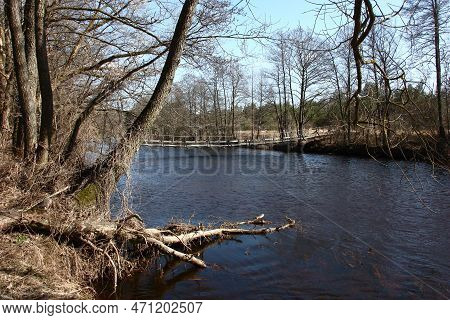 Sunny Spring Day. The Deep Small River Narach In The Minsk Region Of Belarus. On Coast The Alders Gr