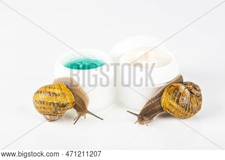 Cosmetics Organic Made With Slaver Of Snail, Very Good For Skin And Health And Fashion In Europe. Po