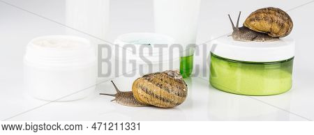 Cosmetics Organic Made With Slaver Of Snail, Very Good For Skin And Health And Fashion In Europe. Po