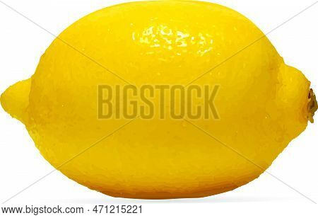 Fresh Lemons With Leaves And Water Drops. Fresh Lemon: Whole Lemon And Lemons Slices.. Vector Illust