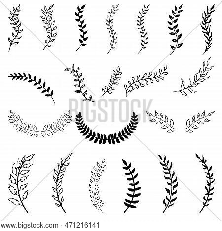 Set Of Hand Drawn Silhouette Tree Branches With Laurel, Oak And Olive Foliate. Vector Illustration F