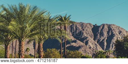 California Coachella Valley Landscape With Palms And Mountains.