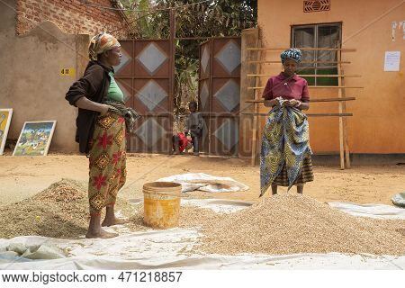 Karatu, Tanzania - October 16th, 2022: Two Women After Cleaning A Pile Of Pigeon Peas On A Sunny Day