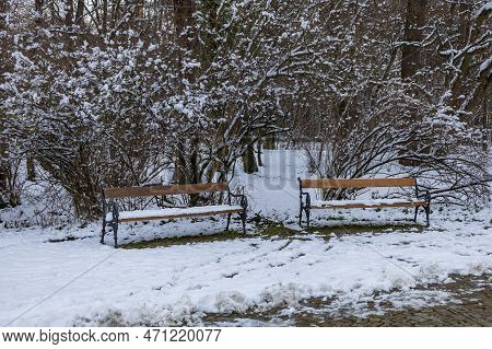 Winter Landscape With Snow. Beautiful Park With Trees - Straznice - Czech Republic