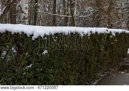 Winter Landscape With Snow. Beautiful Park With Trees - Straznice - Czech Republic