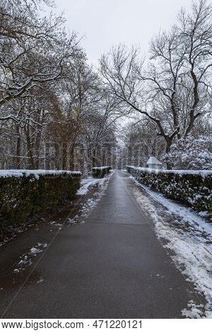 Winter Landscape With Snow. Beautiful Park With Trees - Straznice - Czech Republic