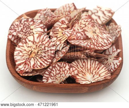 Sliced Betel Nut Color Full Over White Background