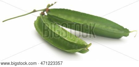Winged Bean Fresh And Organic Over White Background