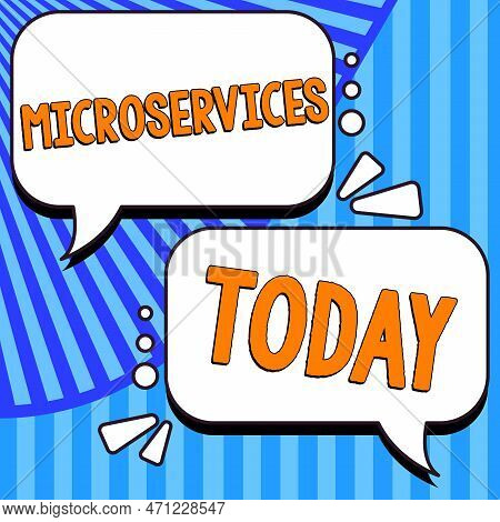 Writing Displaying Text Microservices. Word Written On Software Development Technique Building Singl