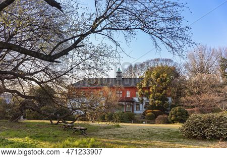 Tokyo, Japan - March 20 2022: Old Trees Branches Overlooking Benches Of The  Koishikawa Botanical Ga