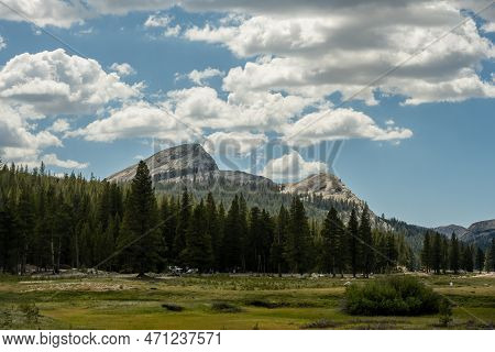 Lembert Dome And Tioga Road Behind Meadow In Yosemite National Park