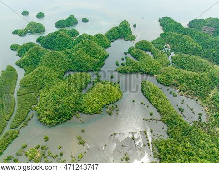 Tropical Island In The Cove. Clusters Of Islands In Lagoons. Sipalay, Negros, Philippines.