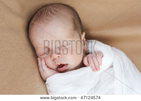 Cute Newborn