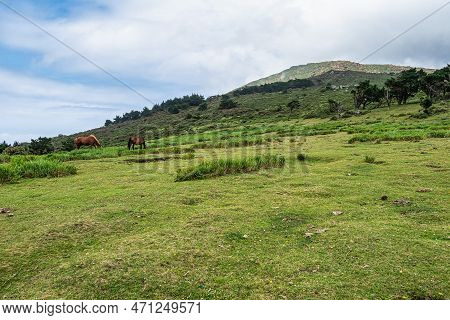 Galician Panorama Along The Road To San Andres De Teixido, A Coruna Province, Galicia. Ruta De La Mi