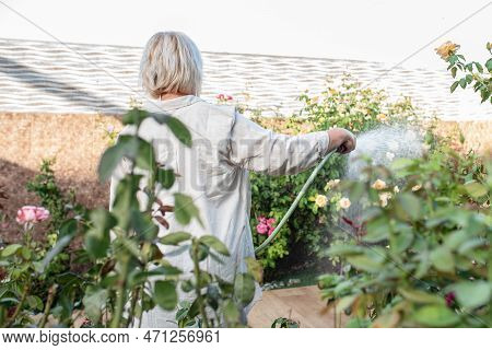 Back View Senior Woman Holding Water Hose Watering Flowers At Backyard Garden. Growing And Taking Ca