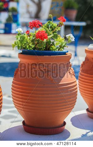 Hagyományos görög piros virágcserép, virág, santorini-sziget, Görögország