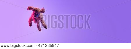 Dynamic Portrait Of Active Playful Red-brown Poodle Dog Jumping And Flying Over Purple Background In