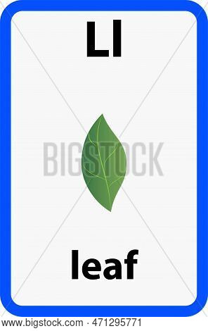 Alphabet Flashcard For Children With The Letter L From Leaf