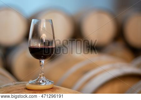 Tasting Of Rioja Wines, Visit Of Winery Cellars With French Or American Oak Barrels With Agening Red