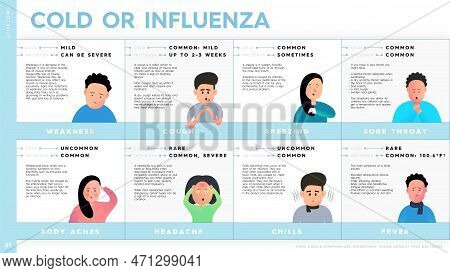 Vector Infographic Vector Photo Free Trial Bigstock