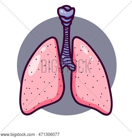 Human Lungs In Cartoon Style. Lungs Logo Or Icon With Bronchi. Isolated On White Background, There I