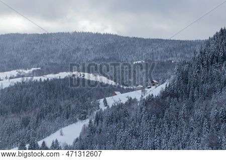 A View Of The Covered Frost Trees In The Snowdrifts. Cold Winter Morning. Lawn And Forests. Snowy Ba
