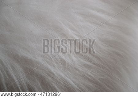 Close Up Picture Of White Fake Fur Background. Artificial Fabric Detail. Fashion Design, Vintage Mat