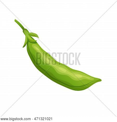 Cartoon Green Beans