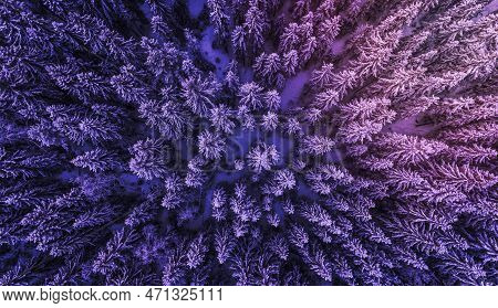 A Drone Shot Of A Snowy Evergreen Forest In Menkerud.