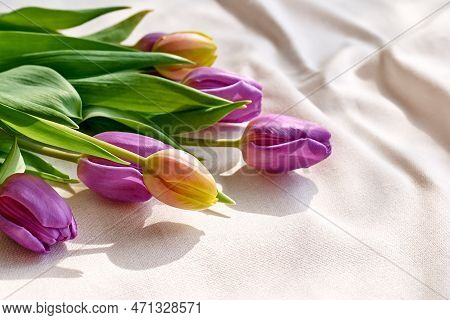 Colorful Tulips On Linen Fabric. Yellow, Pink, Magenta, Fuchsia Tulips On Wrinkled Coton Of Champagn