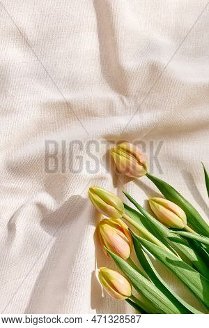 Colorful Tulips On Linen Fabric. Yellow Tulips On Wrinkled Coton Of Champagne Color. Muted Tone. Spr