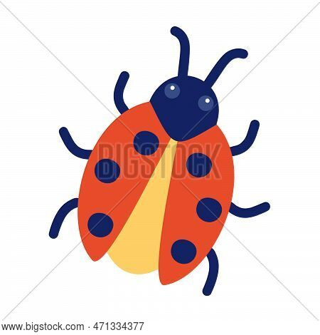 Ladybug. Vector Illustration Of A Funny Bug In Cartoon Style. Isolated On A White Background.
