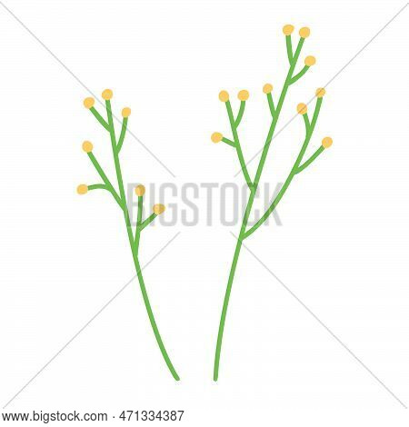 Twigs With Yellow Flowers. Vector Illustration Of A Stylized Plant In Cartoon Style. Isolated On A W