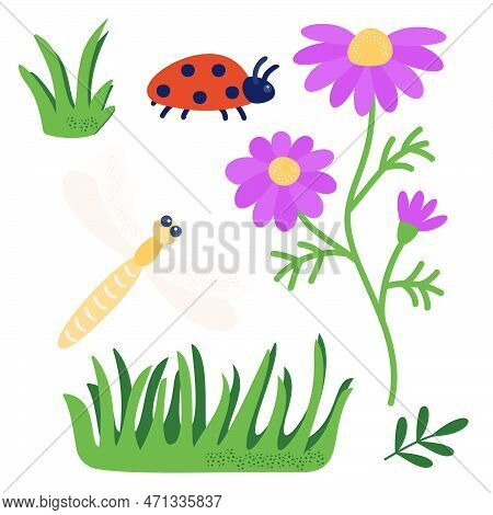 A Set Of Elements For Decoration And Design - Flower, Dragonfly, Ladybug, Grass, Leaves. Vector Illu