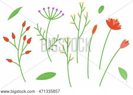 A Set Of Twigs And Leaves For Decoration. Vector Illustration Of Stylized Plants In Cartoon Style. I