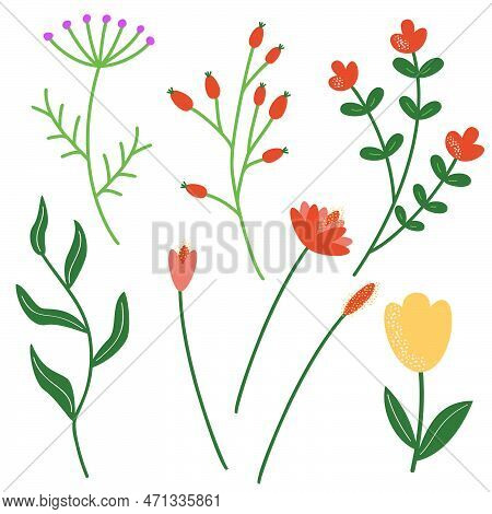 A Set Of Twigs And Flowers For Decoration. Vector Illustration Of Stylized Plants In Cartoon Style. 