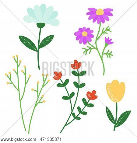 A Set Of Twigs And Flowers For Decoration. Vector Illustration Of Stylized Plants In Cartoon Style. 