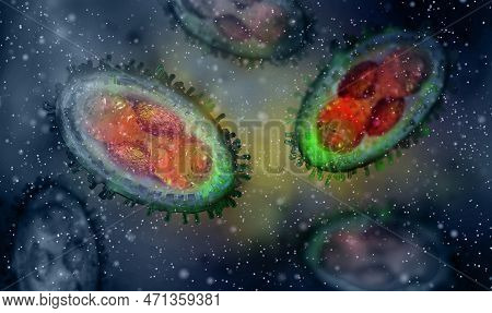 Medical Background, Monkeypox Virus, Zoonotic Virus From The Poxviridae Family, Causes Monkeypox, Po