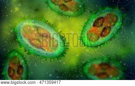 Medical Background, Monkeypox Virus, Zoonotic Virus From The Poxviridae Family, Causes Monkeypox, Po
