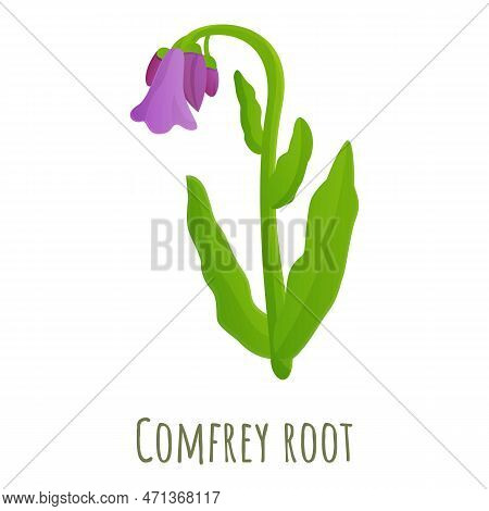Comfrey Root Icon. Cartoon Of Comfrey Root Icon For Web Design Isolated On White Background
